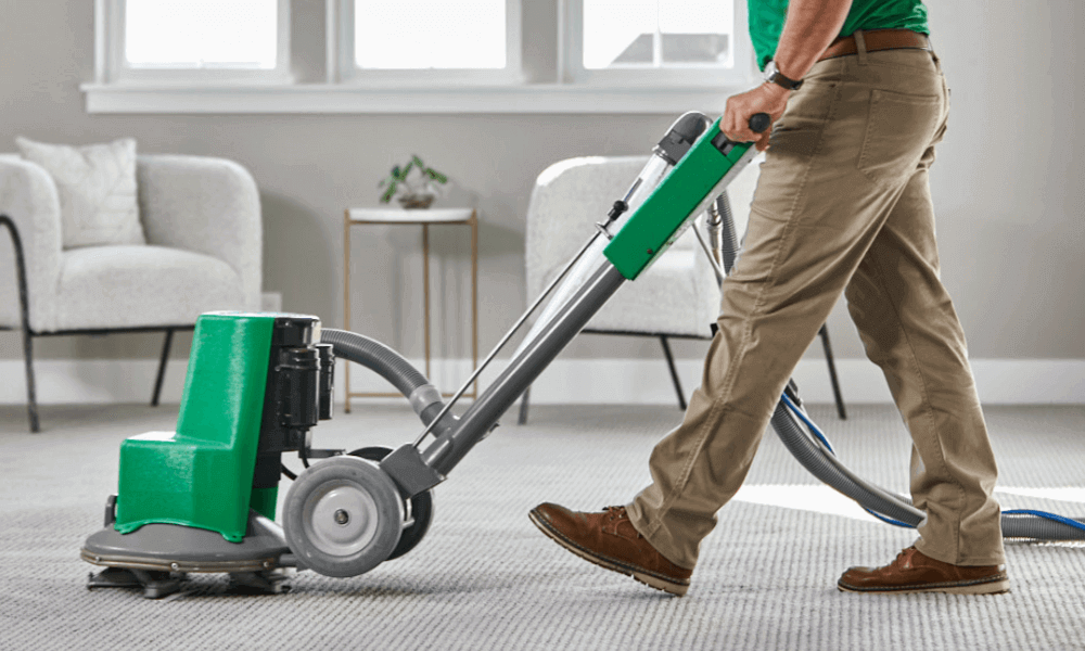 Carpet Stain Removal Tips ChemDry